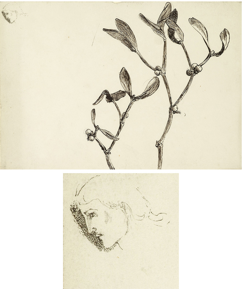 May Morris brown ink Study of mistletoe and the tiny head in detail composite image