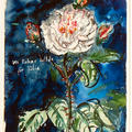 Expressionistic still life watercolour painting of a flower and stem, with pink and white bloom and swirly blue background by artist Anselm Kiefer