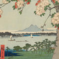 Trunk and branches of the blossoming cherry tree in the foreground and view over the Sumidagawa, Edo's most important river. 