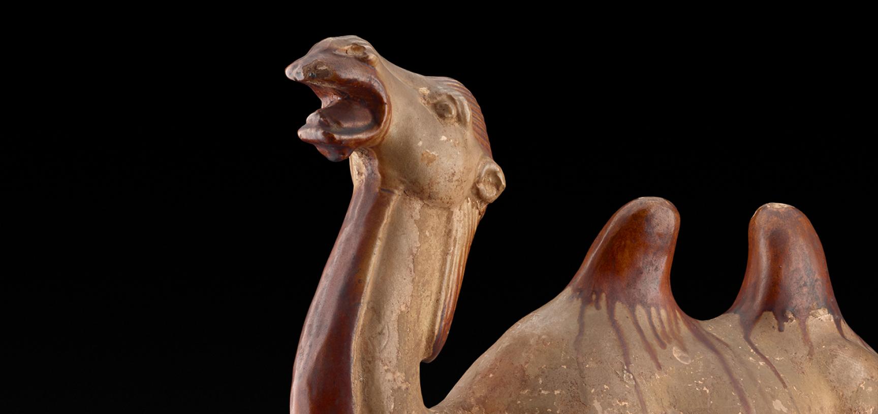 Camel, Tang Dynasty 