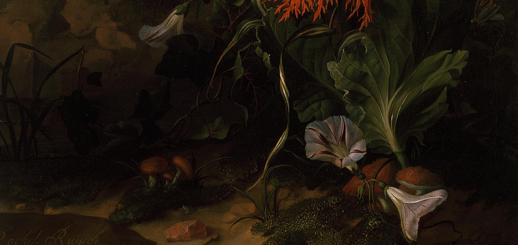 A 'Forest Floor' Still Life of Flowers by Rachel Ruysch