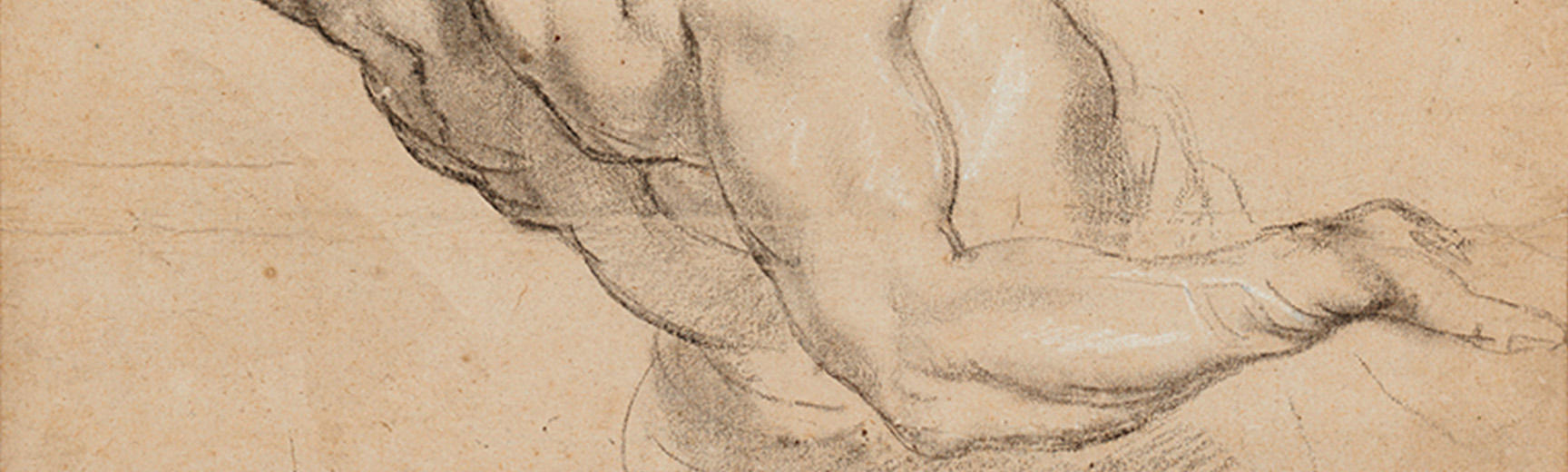 Arm and torso Flemish drawing detail