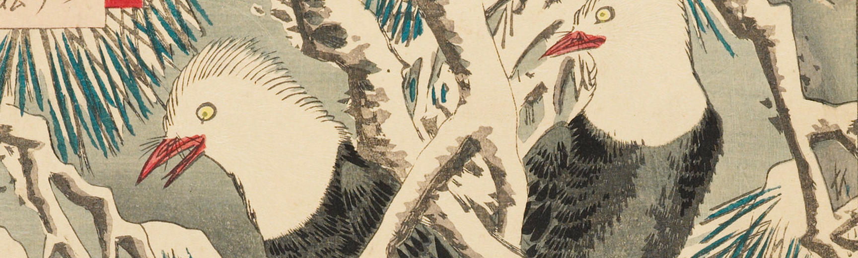 Island Bulbuls EAX4557 print