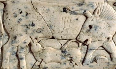 Ivory plaque of a cow and calf among papyrus plants