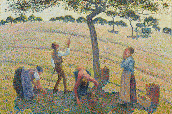 Impressionist painting by Camille Pissarro of a group of people collecting apples from a tree in the middle of a large field