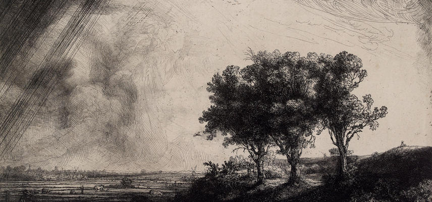 A black and white etching by Rembrandt of three trees in a landscape