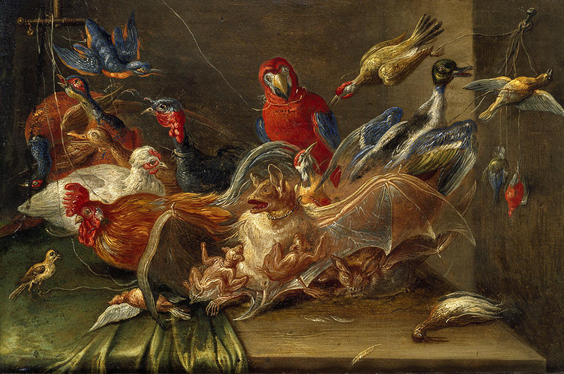 Dutch still life with birds and bats by Jan van Kessel Dutch still life with birds and bats by Jan van Kessel