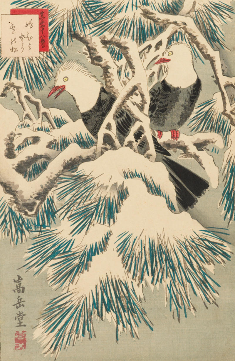 Island Bulbuls on snow-covered pine, Nakayama Sūgakudō (1850–1860) 1859 Colour woodblock print EAX.4557 Island Bulbuls on snow-covered pine, Colour woodblock print by Nakayama Sūgakudō