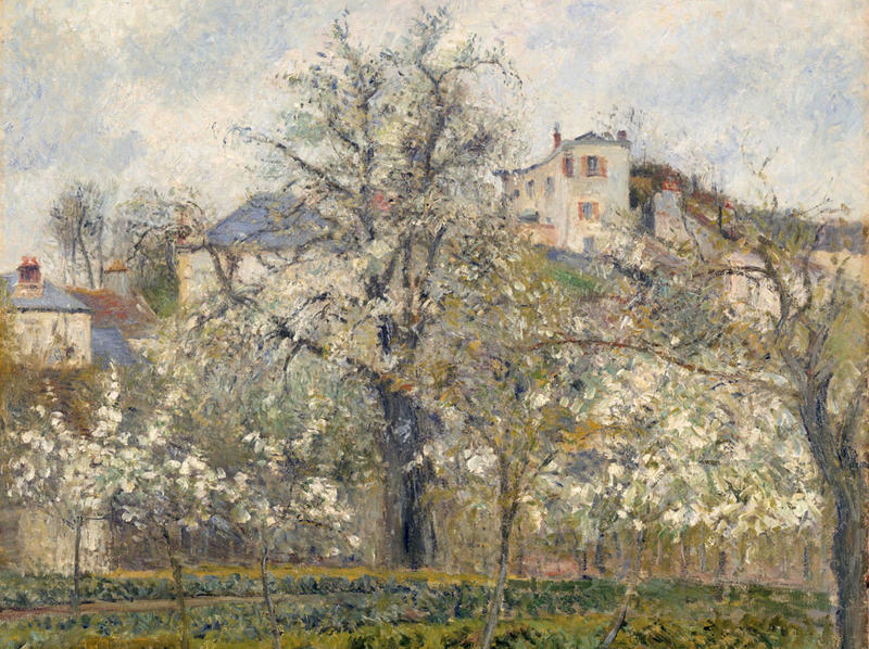 Pissarro spring plum blossom cropv2 Camille Pissarro's Spring: Plum Trees in Bloom,1877. Oil on canvas. The painting is on loan from the Musée d’Orsay, Paris for the Pissarro exhibition.