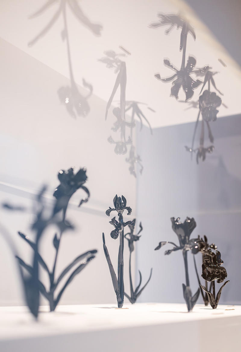 rs1379318 ashmolean in bloom whatsinname1000pxtall