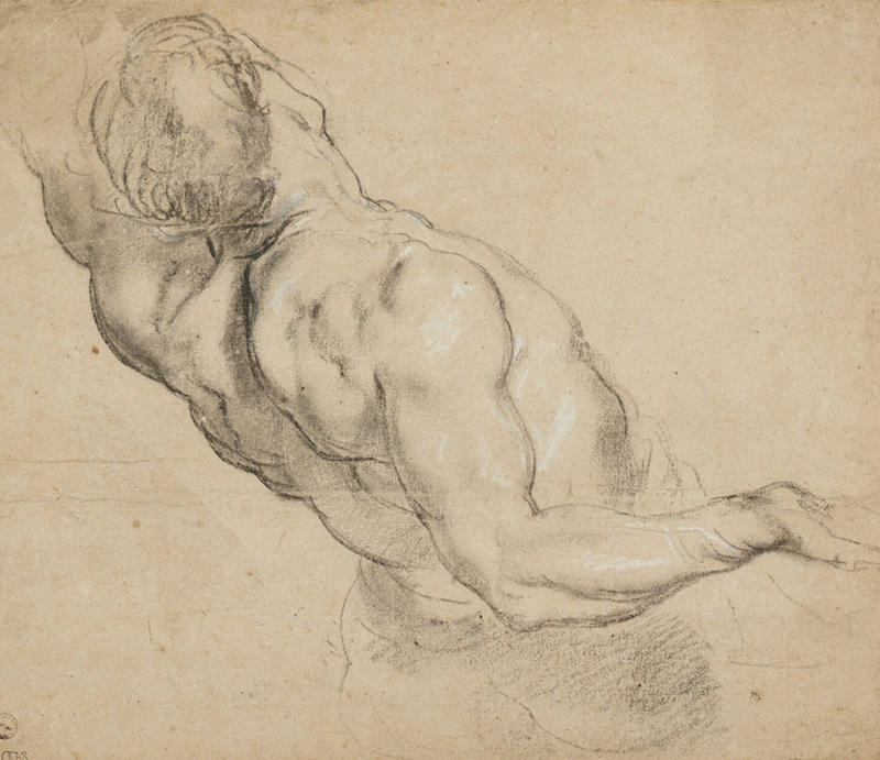 Charcoal study by Peter Paul Rubens of the study of a nude male torso and head from behind