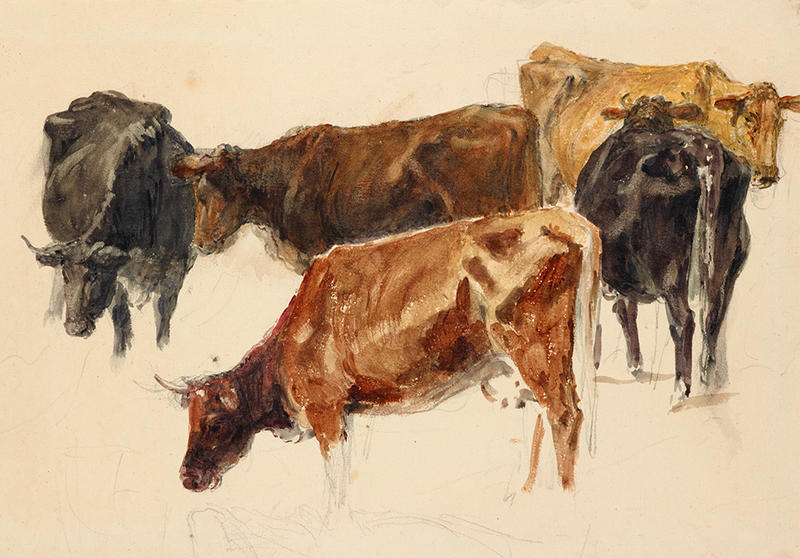 Study of a Group of Cows, J.M.W. Turner, c. 1791 watercolour over graphite, with some scratching out, on wove paper © Ashmolean Museum Study of a group of cows watercolour by J.M.W. Turner, c. 1791