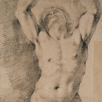 Detail of a drawing by Guercino of a nude man with arms stretching into the air