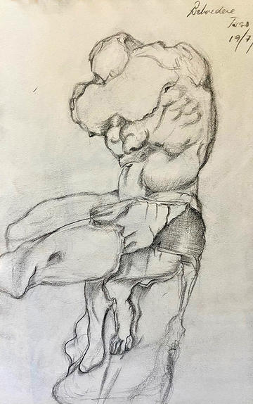 Helen Edwards' drawing based on Rubens' Torso Belvedere